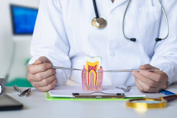 Best Urgent Care for Lost Fillings or Crowns in Shawneeland, VA
